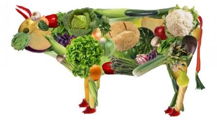 Вегетарианство плюсы и минусы
